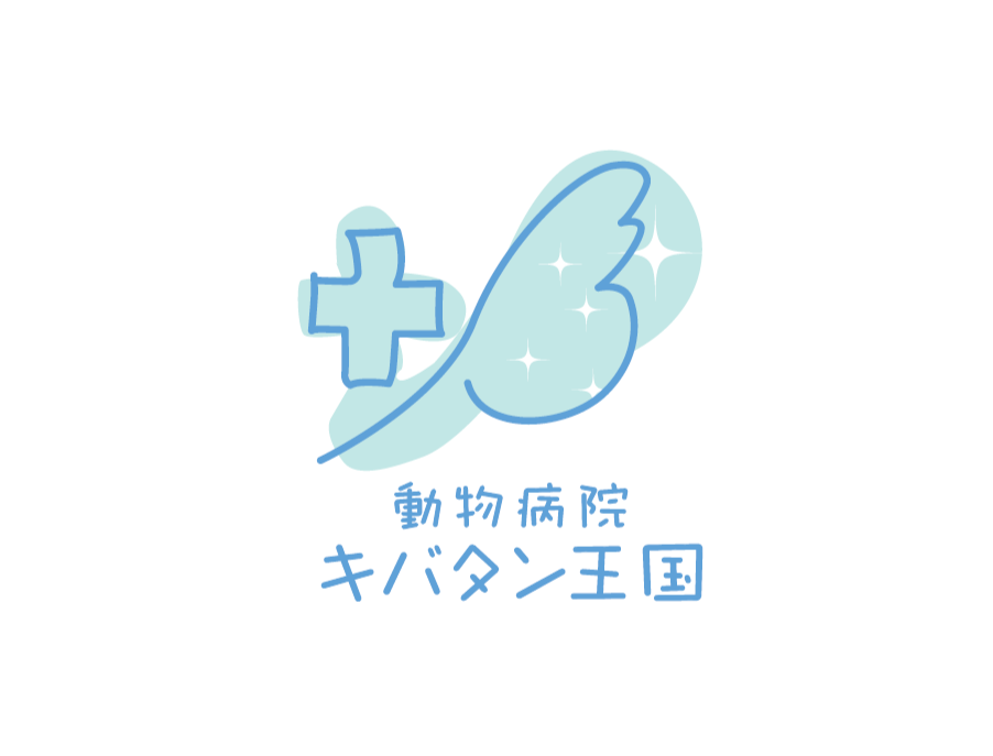 動物病院　キバタン王国