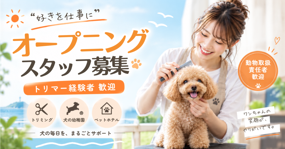 辻堂・新規オープン犬専用複合施設のトリマー