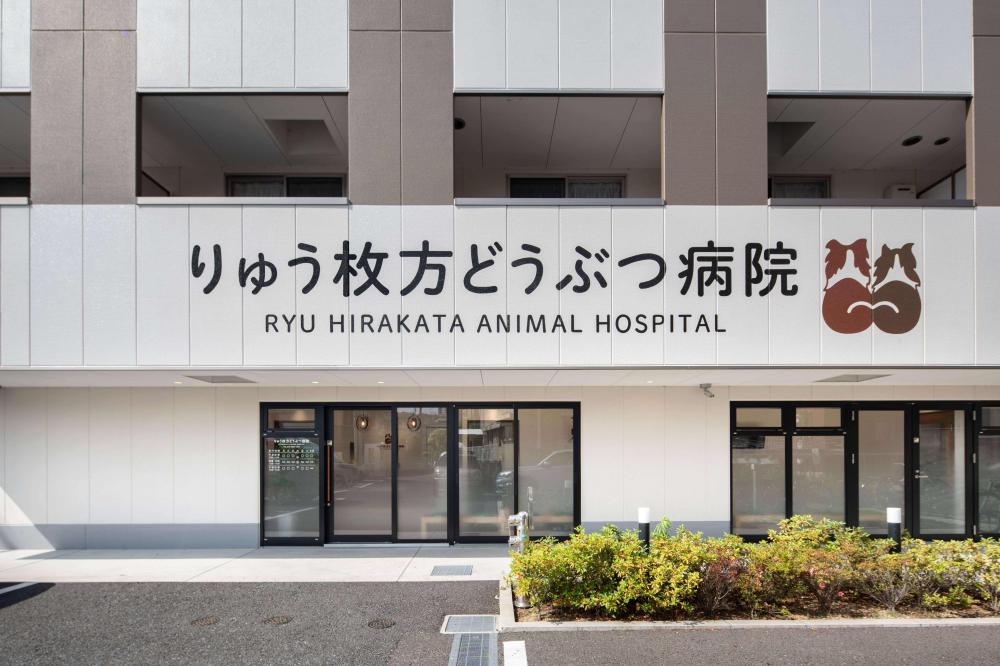 駅近の動物病院で働きたい方、動物が大好きな方、歓迎！