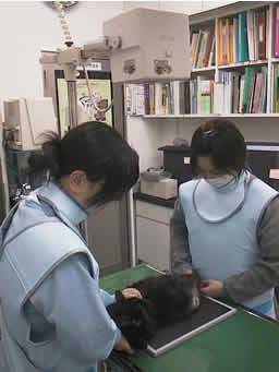 獣医師