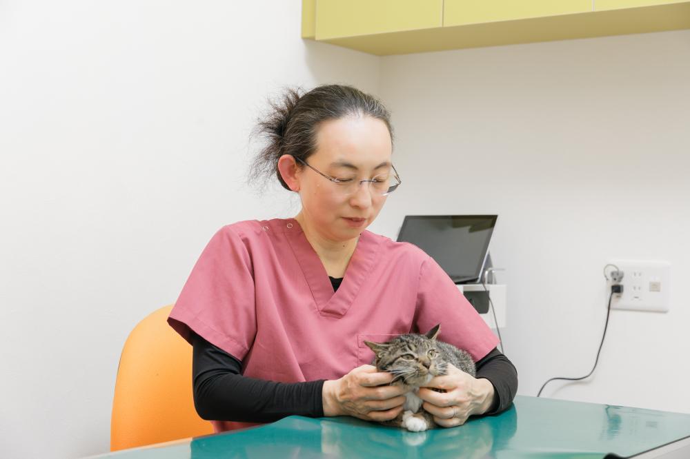 非常勤獣医師、募集中。