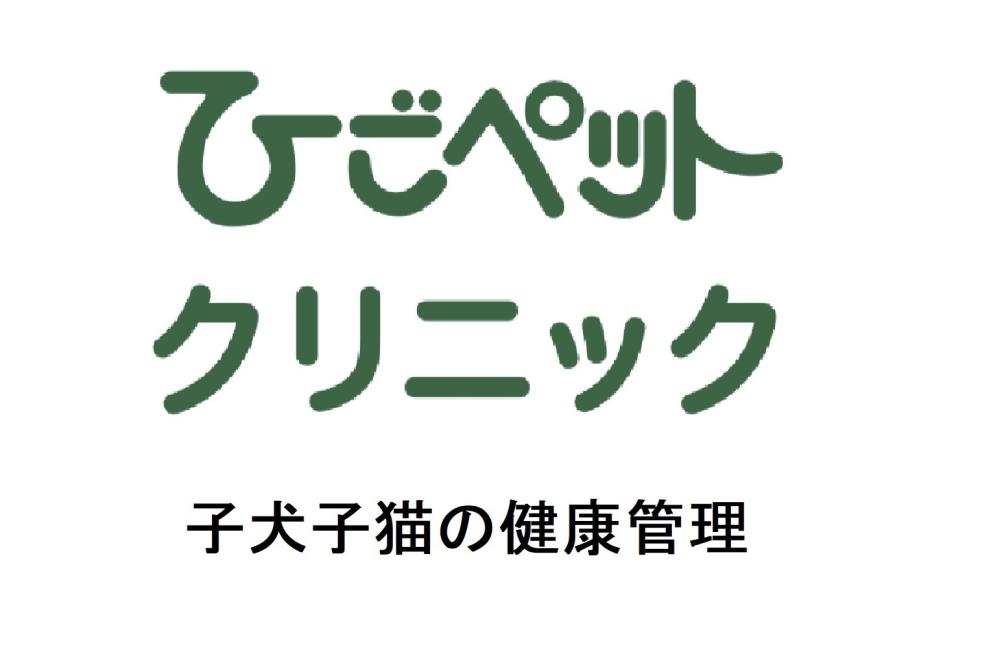 ひごペットクリニック 福山店舗管理病院　愛玩動物看護師正社員