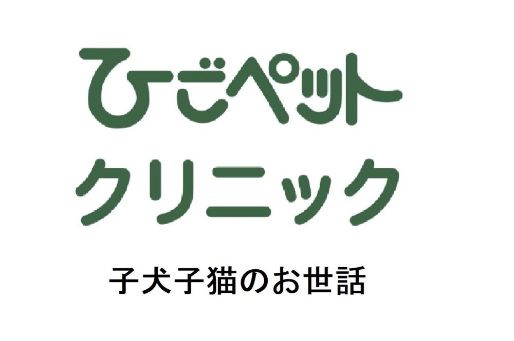 ひごペットクリニック 福山店舗管理病院　※健康管理スタッフ※