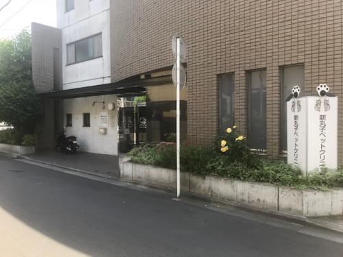 常にスキルアップを心がけている勤勉な獣医師を募集します。