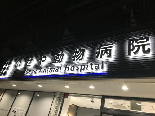 病院スタッフを募集しております