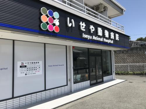 病院スタッフを募集しております