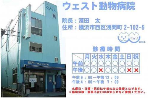 【アルバイト】横浜駅徒歩　ウェスト動物病院　動物看護師募集