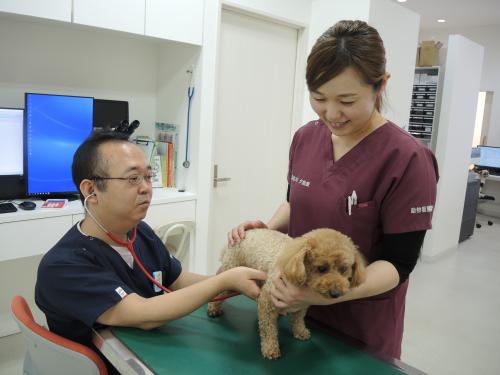 福岡県・動物看護師　ASAP動物病院（田川院）新卒歓迎