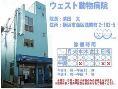 【アルバイト】横浜駅徒歩　ウェスト動物病院　動物病院補助業務