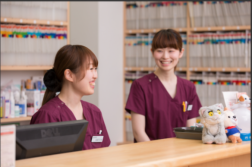 パートタイム獣医師　募集中　【子育て理解】