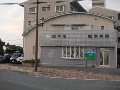 福岡県飯塚市　動物看護師　動物病院スタッフ募集