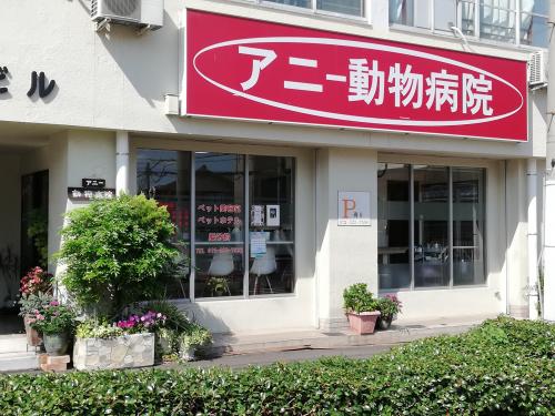 堺市でトリマー兼動物看護師とトリミングの短期のパートを募集中