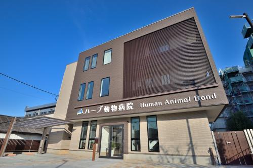 川口市 動物看護師募集（正社員）