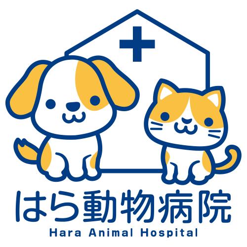 2025年新卒動物看護師募集