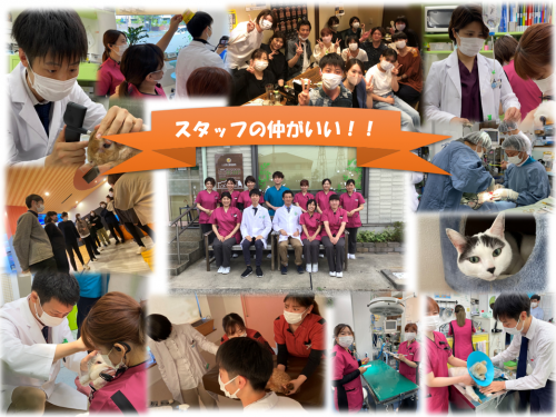 獣医師募集！大阪府和泉市　やりがいと成長の職場です