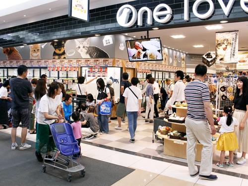  【ペットショップワンラブ】エルムの街店　トリマー募集