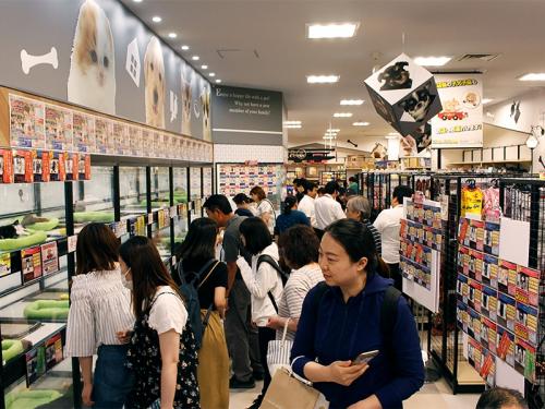  【ペットショップワンラブ】エルムの街店　トリマー募集
