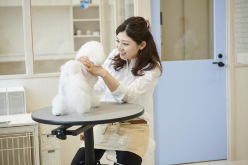 千葉県習志野市【トリマー募集】動物病院併設店舗