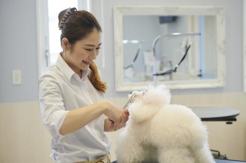 千葉県習志野市【トリマー募集】動物病院併設店舗