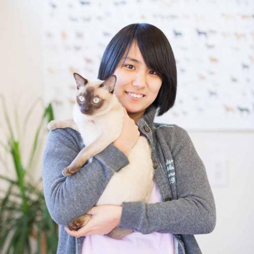 猫にやさしい動物病院　川崎市中原区　ケアアシスタント募集