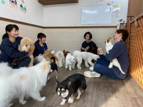 【急募】犬の保育園　ドッグトレーナー募集　神奈川県