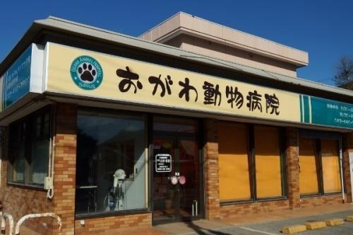 千葉県八街市獣医師募集！新卒・経験者