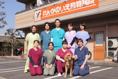 新卒・中途　猫にやさしい動物病院　川崎市中原区　獣医師募集　