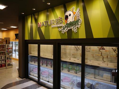 ペットショップのトリマー募集【イオンタウン成田富里店】
