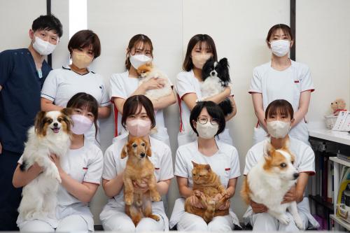 三重　桑名市　動物看護師を募集しています！！