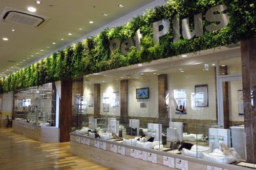 株式会社AHB ペットプラス 成田店