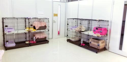 【新規開業】弊社保護猫施設ほぼ専属動物病院の獣医師さん募集