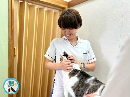 【愛玩動物看護師】 千葉県茂原市アムール動物病院