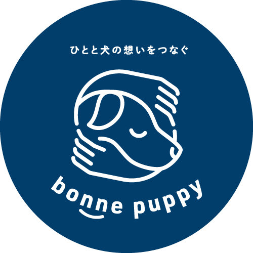 犬の幼稚園ボンパピ専属ドライバー募集！！