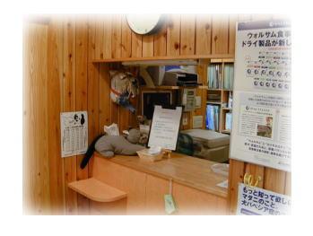 横浜の動物病院で動物看護師さん募集！ 
