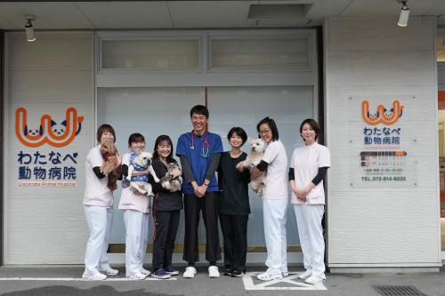 大阪府大東市の動物病院です。獣医師募集