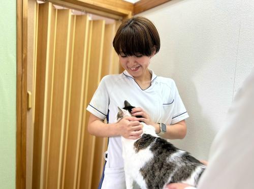 【愛玩動物看護師】 千葉県茂原市アムール動物病院