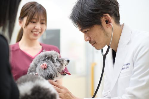 獣医師募集