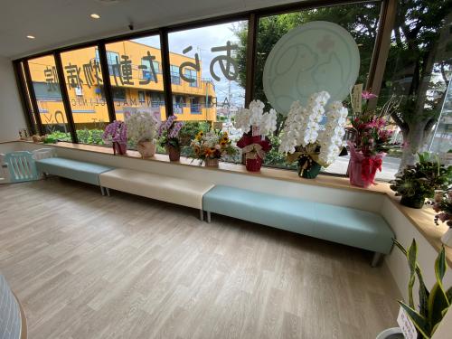 あらた動物病院　トリマーさん募集！【横浜市旭区】