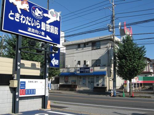 千葉県松戸市　愛玩動物看護師及びアニマルケアスタッフ募集！！