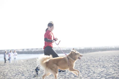 ☆パート・アルバイト☆ 訪問ペットケア専門【動物病院兼業可】