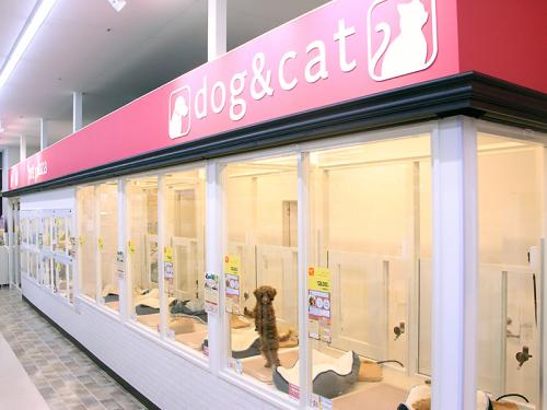 【ペットショップワンラブ】イオン長浜店　トリマー募集中