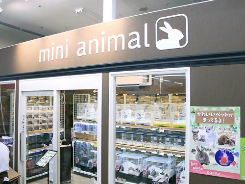【ペットショップワンラブ】イオン長浜店　トリマー募集中