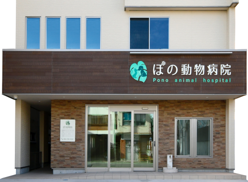動物看護師または看護助手募集