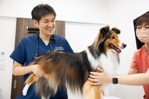 【愛玩動物看護師】資格・経験を活かせる職場／横浜市港南区