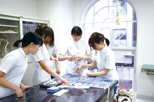 【非常勤講師】専門学校/愛玩動物看護学科/教員デビュー歓迎