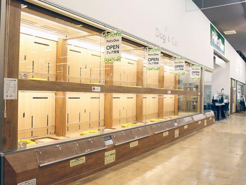【ペットショップワンラブ】ジアウトレット広島店　トリマー募集