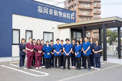 福岡市東区 動物病院ケアスタッフ学生バイト募集