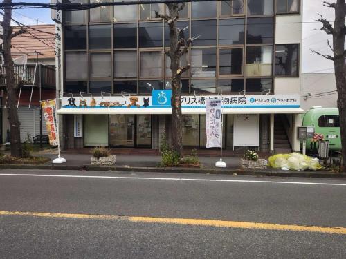 【18時半帰宅可】☆相模原市橋本☆動物看護師