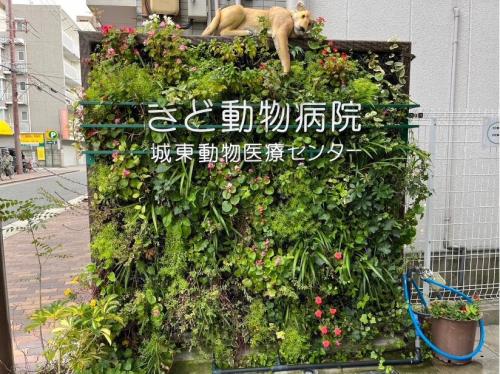 未経験者歓迎！動物病院受付・ケアスタッフ