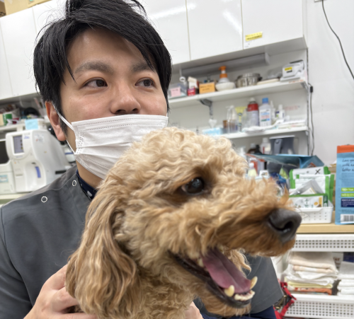 【選考期間9~10月中】愛玩動物看護師・ケアスタッフ